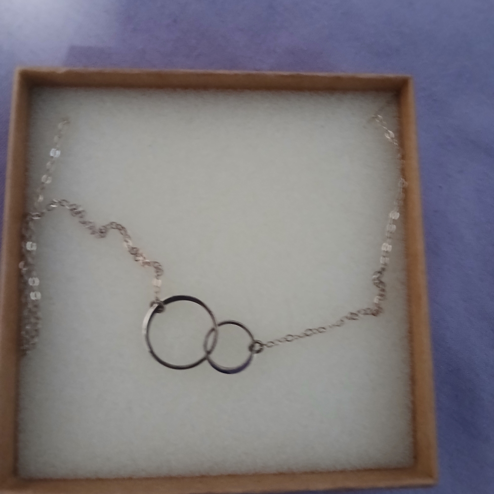 Elegant Silver Interlocking Circle Necklace